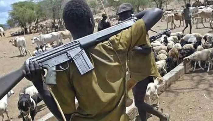 Herdsmen Kill Six Farmers And Traders In Ondo