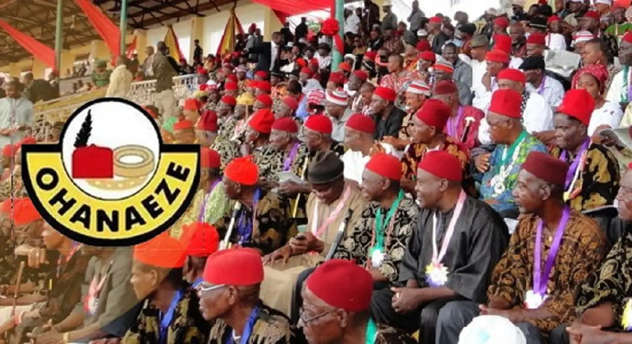 Ohaneze Ndigbo Rejects Result Of Presidential Election, Says It Will Be Challenged In Court