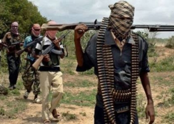 Kidnappers Of 56 Niger Farmers Demand N200million Ransom