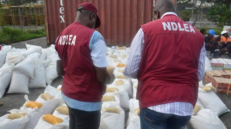 NDLEA Arrests 352 Drug Peddlers In Kano
