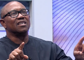 Nobody Is Going To Force Me To Leave Nigeria- Peter Obi Says