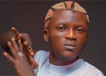 Portable sentenced to three months imprisonment