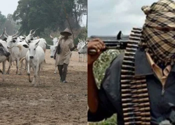 Catholic priest shot by suspected herdsmen in Benue