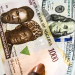 Naira Takes a Dip: CBN Adjusts Exchange Rates After First Dollar Loss in 7 Days