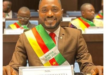 Cameroonian lawmaker sues Nigeria police