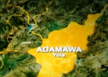 Three Shilla Boys arrested for alleged robbery in Yola