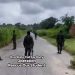 Video: Soldiers Launch Massive Search for kidnapped Oyo students and teachers