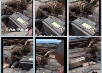 Leave it dont kill it, People cry out as python Invades A Man’s Car In Imo (VIDEO)