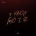 Davido - I Know who i be (Mp3 & VIDEO) 11 Davido – I Know who i be (Mp3 & VIDEO)