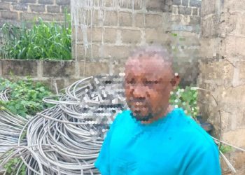 Delta police arrests 2 electric cable vandals