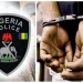 Police arrest doctor, parents over alleged sale of newborn in Lagos