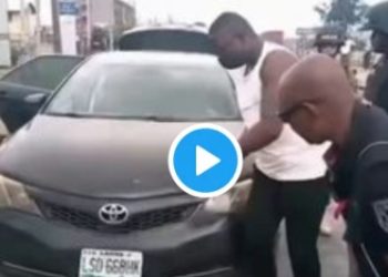 VIDEO: Watch as NDLEA K9 dog uncovers hard dr¥gs during search operation in Lagos