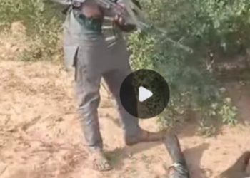 Police killed as Bandits raid Zamfara