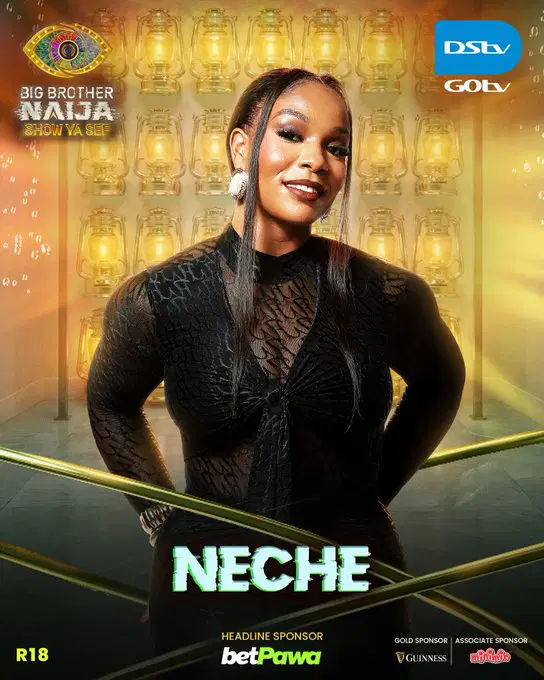 Meet 24 housemates of BBNaija season 11 - Show ya self edition 20 Nechee