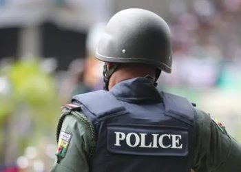 Police arrest suspect, recover 115 rounds of live ammunition in Benue