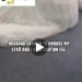 Tense Confrontation Erupts Between Bridal Rental Vendor and Newlywed Groom Over Returned Wedding Gown