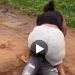 Woman Allegedly Beats Husband to Death During Domestic Dispute in Elele 😳💔