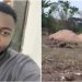 “Give us the N4m, we’ll pay you back” – Brothers call younger sibling ‘selfish’ for wanting to buy family land