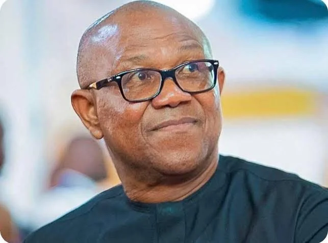 Bayo Onanuga Dares Peter Obi To Quit Presidential Race Over Anambra Debt Controversy 1 20136236 thepresidentialcandidateofthelabourpartyinthe2023generalelectionandaleadingoppositionfigureaheadofthe2027presidentialelectionpeterobi1783331129 webp7fdabfecd0e08c90a821bcd2d784c6a2