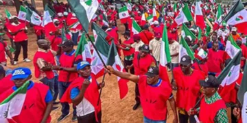 NLC declares strike in Delta