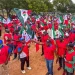 NLC declares strike in Delta